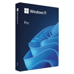 Microsoft Windows 11 Professional 64-bit, Engleza, Retail/FPP, USB